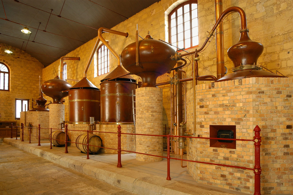 BESTBRANDY, proyecto I+D vitivinícola