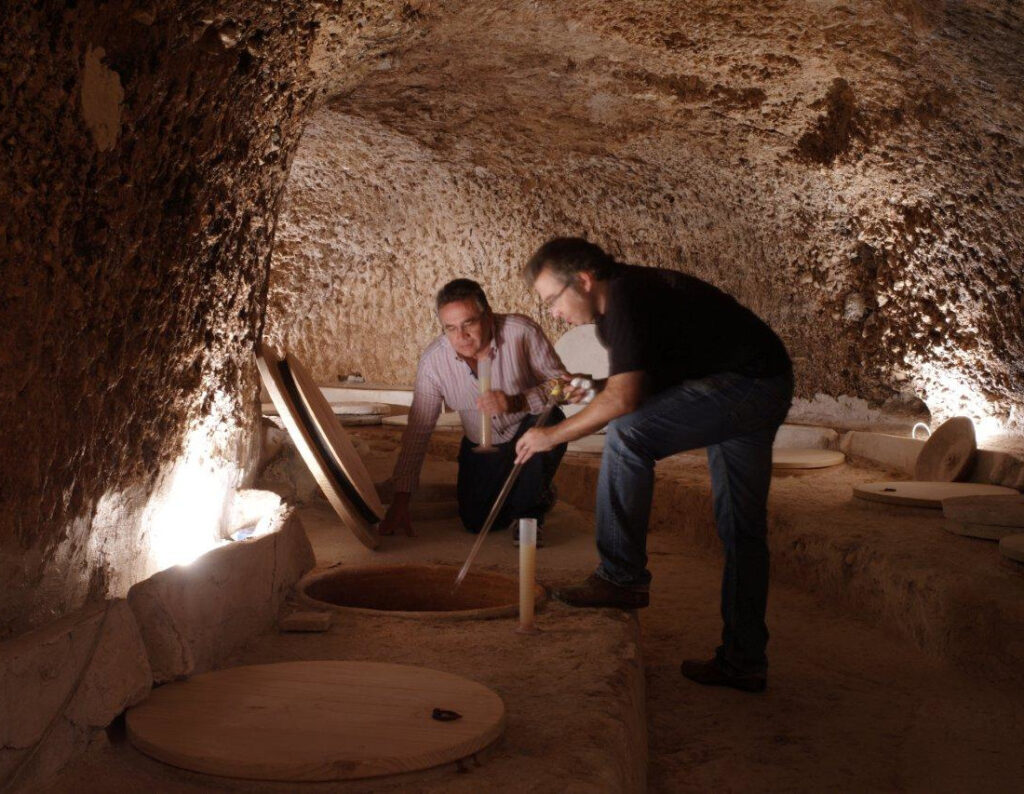 artica+i, en colaboración con la PTV, organiza una secuencia de webinars para dar a conocer los avances de GOVALMAVIN   