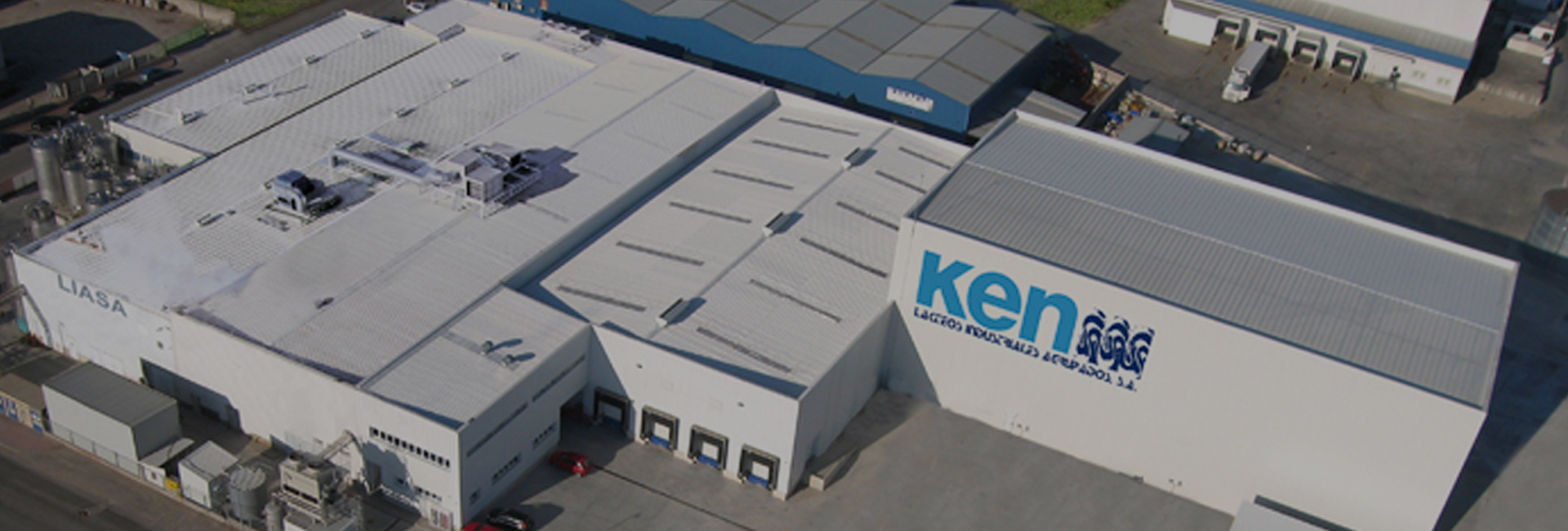 articai | Cream and derivatives plant Image Alt