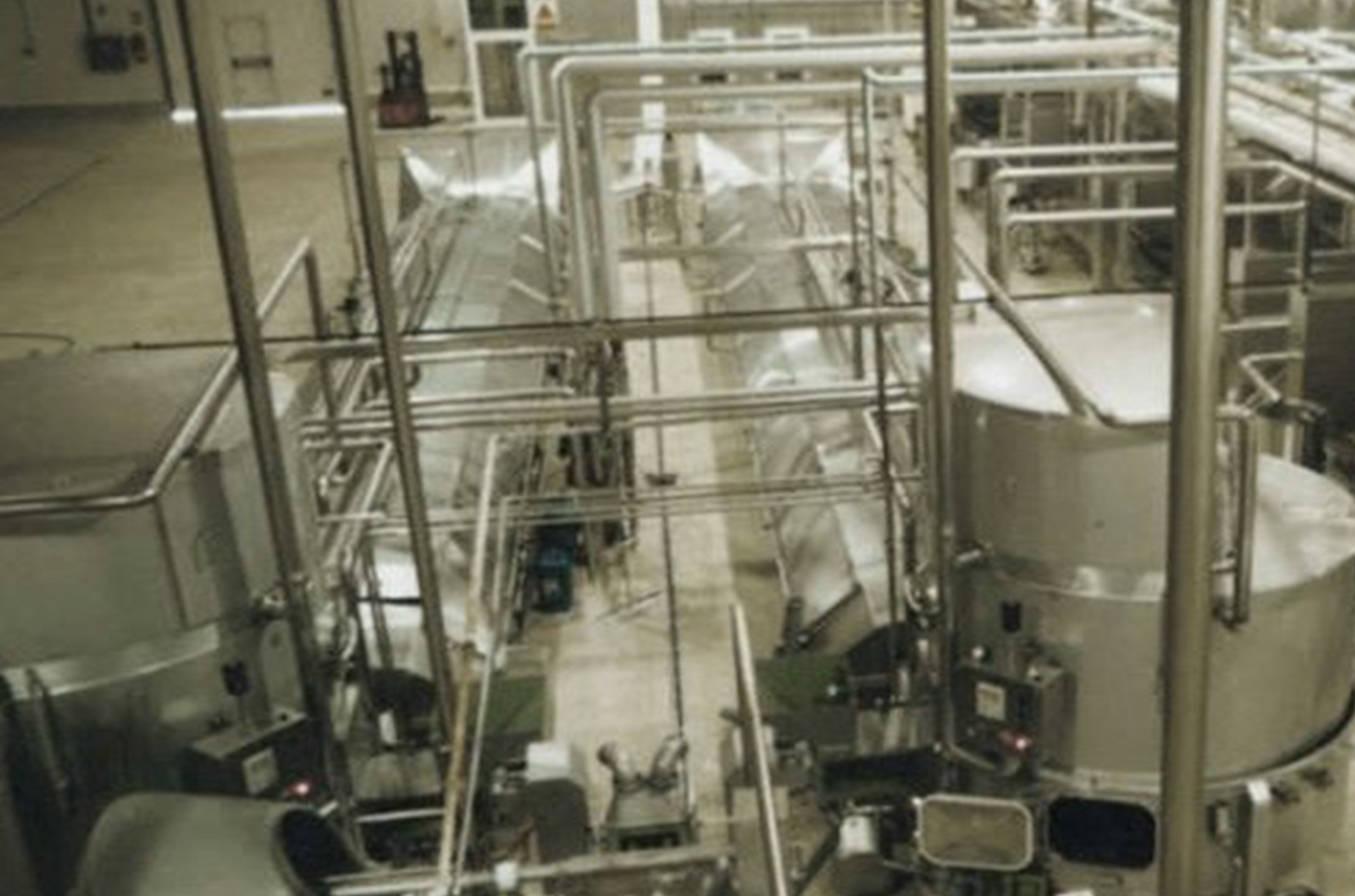 articai | Fresh and processed cheese plant luxtor-02