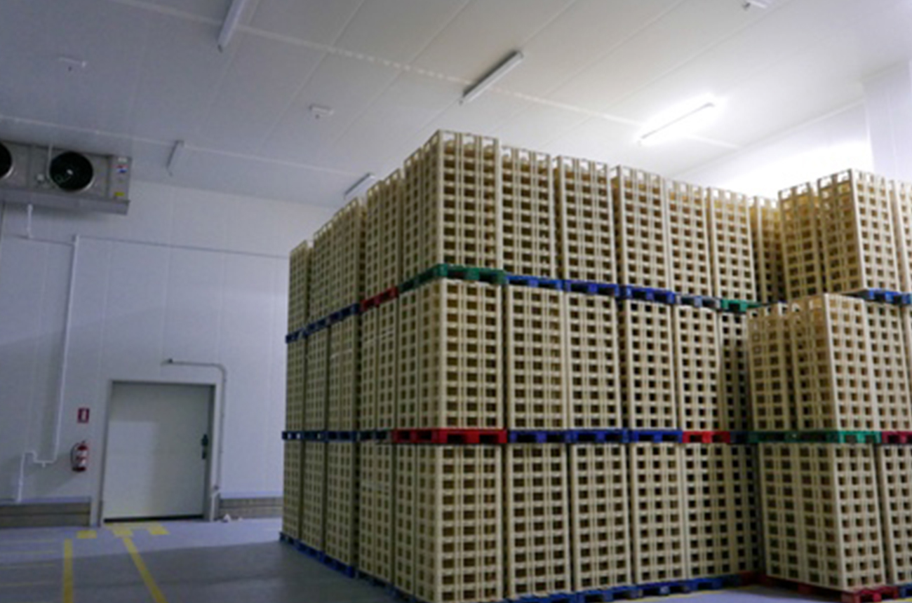 articai | Comprehensive reform and expansion of the pressed cheese plant toledo-03