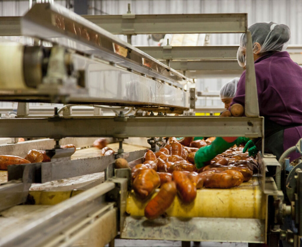 Arranca la 17ª edición del Máster en Seguridad Alimentaria con el patrocinio de artica+i