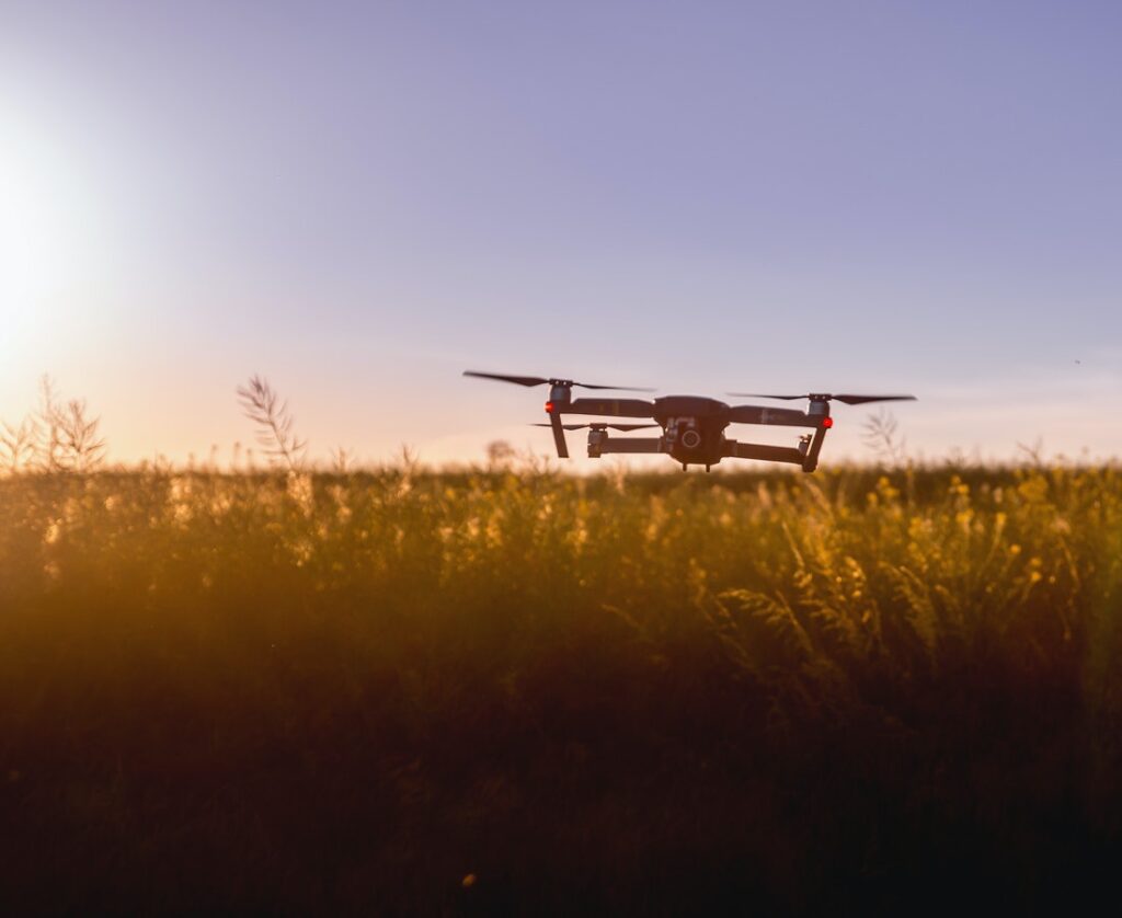 articai | News AID FOR THE PROCESSING, MARKETING OR DEVELOPMENT OF AGRICULTURAL PRODUCTS IN THE COMMUNITY OF MADRID