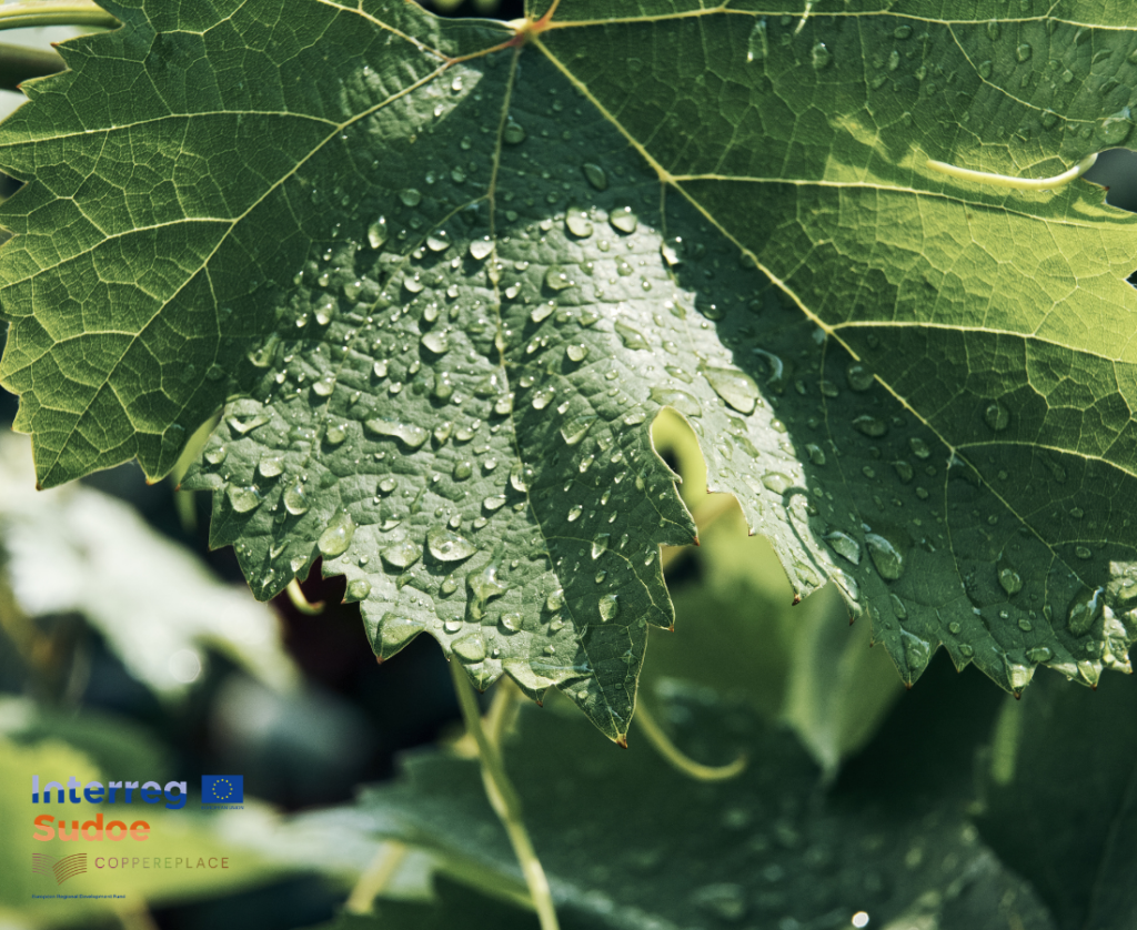 articai | News The international project COPPEREPLACE, managed by artica+i, kicks off