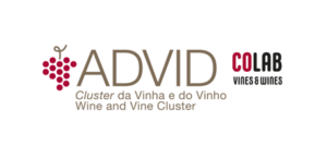 articai | COPPEREPLACE. Programa Interreg Sudoe. Sector Vitivinícola