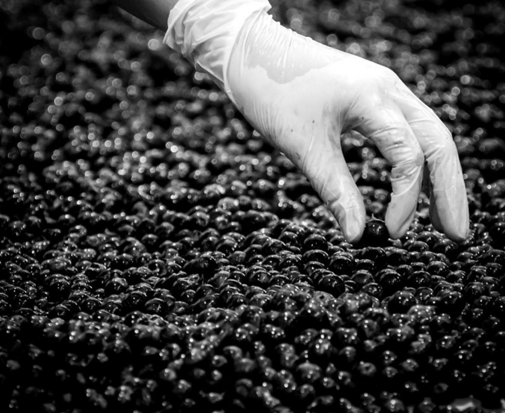 articai | News LowpHWine, a new CIEN consortium managed by artica+i