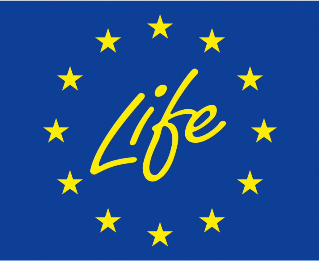 articai | News Life 2021 call for proposals