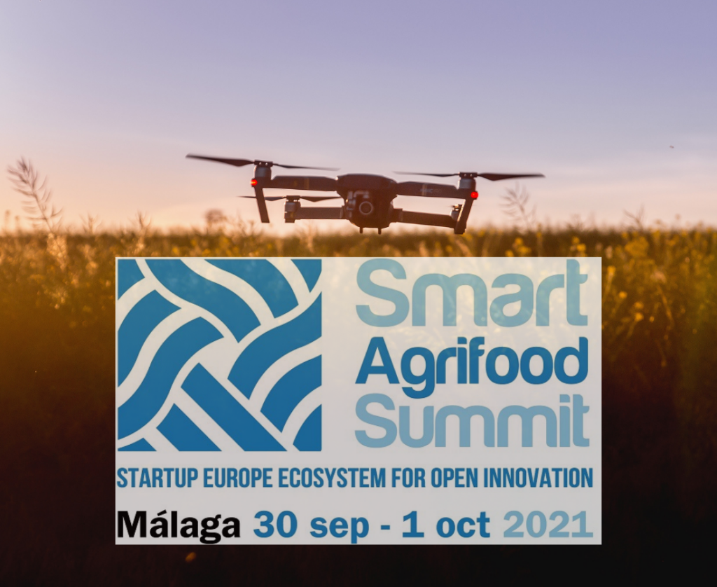 articai | News Innovation in the agrifood sector will be key in the IV Smart Agrifood Summit