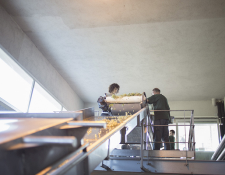 articai | CAVAWINNER. Proyecto que impulsa el posicionamiento internacional del cava español a través de la investigación y la incorporación de nuevas tecnologías