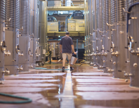 articai | CAVAWINNER. Proyecto que impulsa el posicionamiento internacional del cava español a través de la investigación y la incorporación de nuevas tecnologías