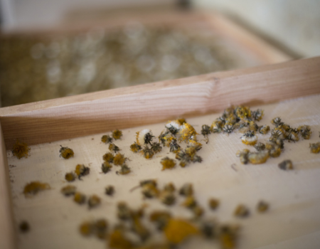 articai | CAVAWINNER. Proyecto que impulsa el posicionamiento internacional del cava español a través de la investigación y la incorporación de nuevas tecnologías