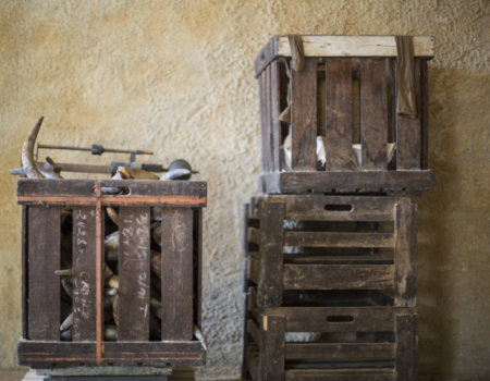 articai | CAVAWINNER. Proyecto que impulsa el posicionamiento internacional del cava español a través de la investigación y la incorporación de nuevas tecnologías