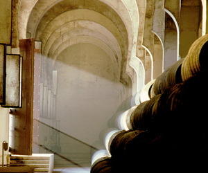 articai | BESTBRANDY. Innovación en los procesos de elaboración del brandy para obtener nuevos perfiles aromáticos