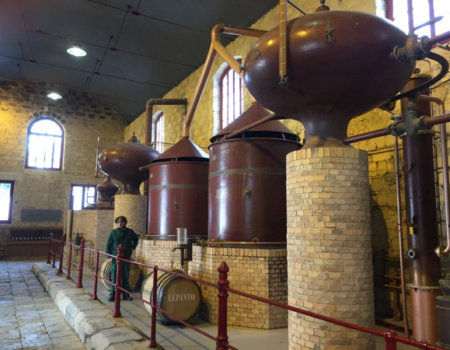 articai | BESTBRANDY. Innovación en los procesos de elaboración del brandy para obtener nuevos perfiles aromáticos