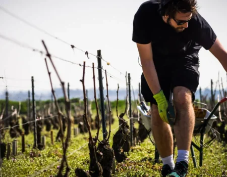 articai | COPPERPLACE. Soluciones integradas, innovadoras y viables para reducir el uso del cobre y su impacto medioambiental en viñas de la región SUDOE