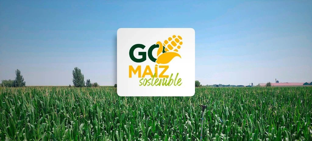 articai | ¿Hablamos de I+D+i?