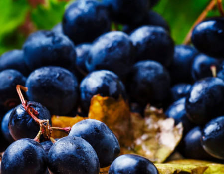 articai | LOWPHWINE. Estudio y validación de soluciones científico-tecnológicas para controlar el aumento del pH de los vinos españoles