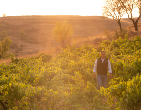 articai | LOWPHWINE. Estudio y validación de soluciones científico-tecnológicas para controlar el aumento del pH de los vinos españoles