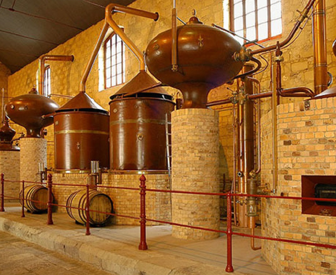 articai | El proyecto BESTBRANDY impulsa la investigación de nuevas técnicas de manejo del viñedo