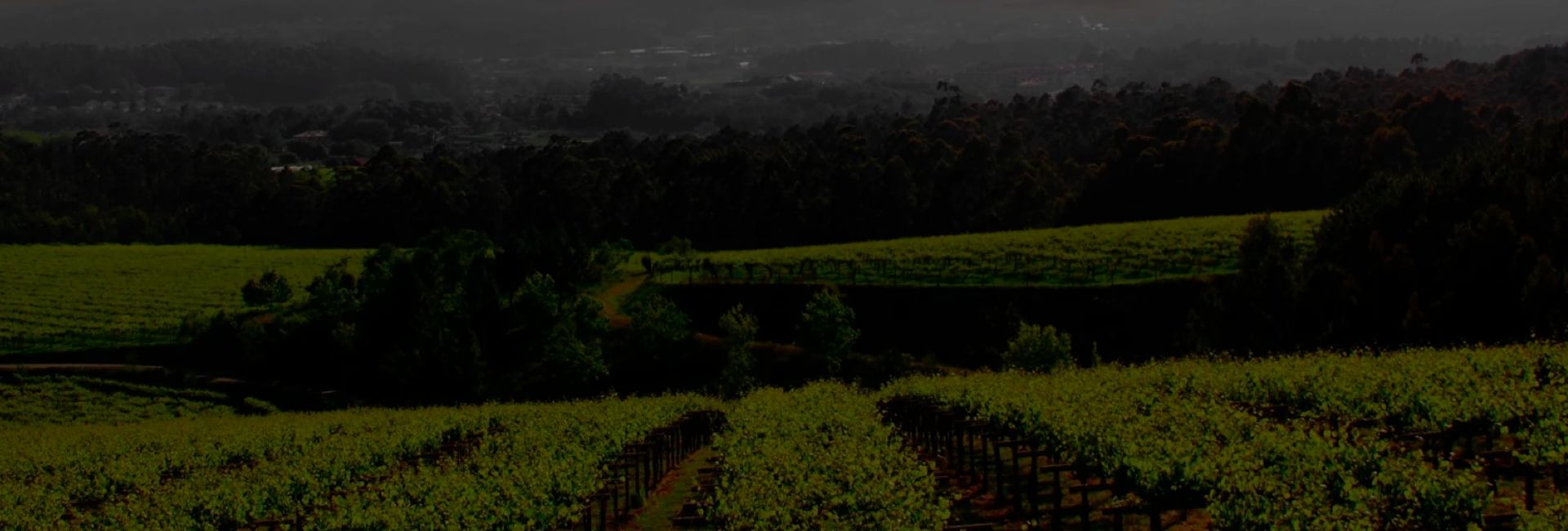 Consultoría: Provineral. Logotipo de Lagar de Cervera