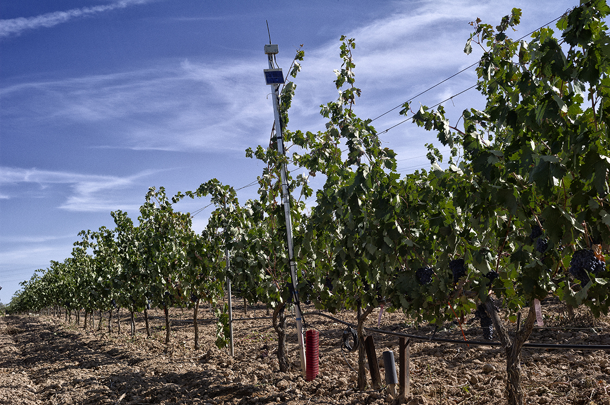 articai | ¿Hablamos de I+D+i?