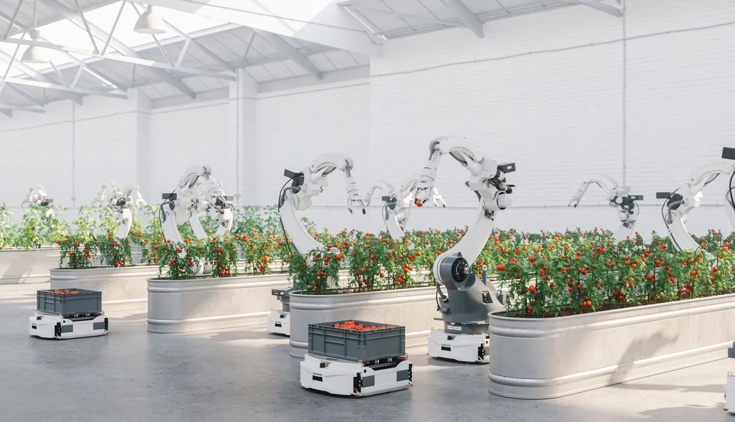 articai|Automation and Digitalisation