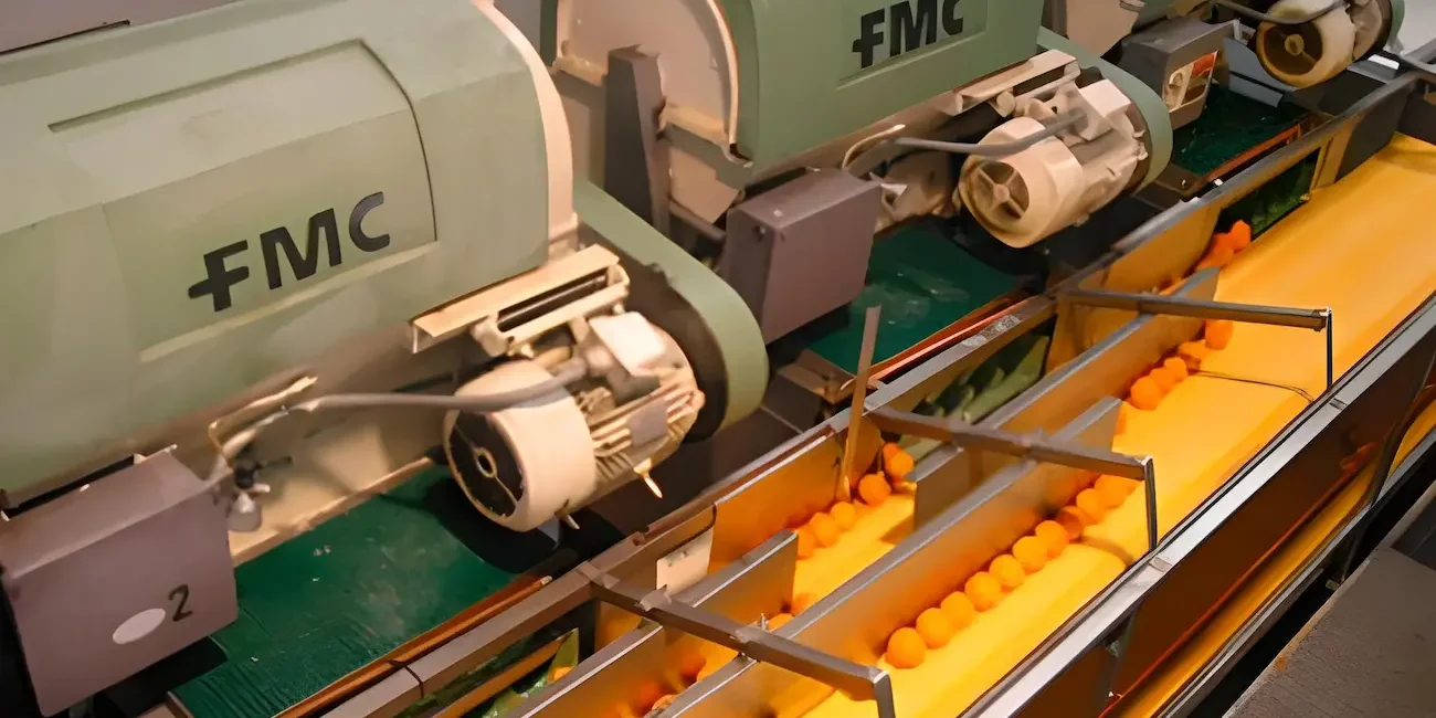 articai|LOS MIMBRALES. Edificación y equipamiento de una planta para la elaboración de zumo y manipulación de cítricos en Almonte (Huelva)