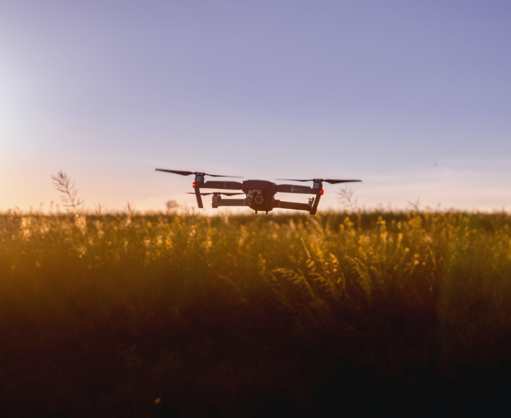 articai | News The digital future of our agri-food sector