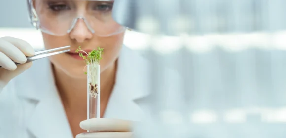 Consultoría para la innovación