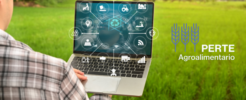 El Ministerio de Industria y Turismo ha anunciado que, durante el próximo mes de agosto, se publicará la orden de bases reguladoras y la segunda convocatoria del PERTE Agroalimentario, dotado con 100 M€.