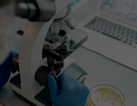 artica+i. Imagen para la galería interior del caso de éxito (nuestros proyectos) "NUTRIALITEC", mostrando una fotografía al detalle de un microscopio