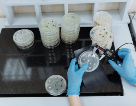 artica+i. Imagen para la galería interior del caso de éxito (nuestros proyectos) "NUTRIALITEC", mostrando una fotografía de unos cultivos de laboratorio en primer plano, con un calibre