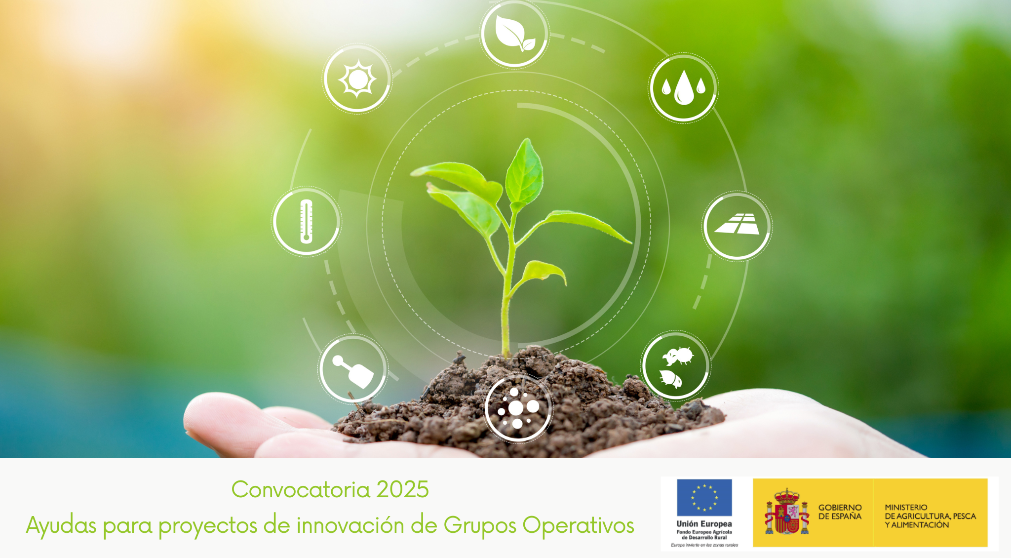 Ayudas para Grupos Operativos 2025