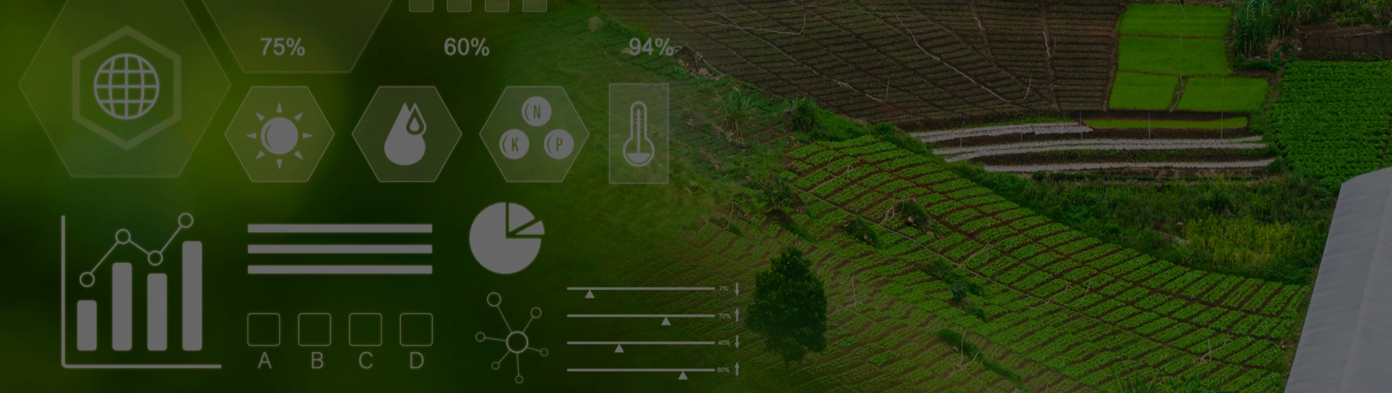 artica+i. Imagen para la cabecera (header) del caso de éxito (nuestros proyectos) "BIGPREDIDATA. Proyecto de I+D de colaboración público-privada que desarrolla soluciones tecnológicas 4.0 para predicción del rendimiento de viñedos de vinificación", mostrando un detalle de finca con vides con iconos tecnológicos superpuestos