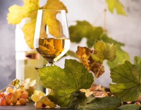 artica+i - Casos de éxito. Imagen 05 para la galería del proyecto "UHPH4WINE. Proyecto de desarrollo experimental para validar la tecnología de Ultra Alta Presión de homogeneización en la elaboración de vinos de alto valor añadido" mostrando una foto artística de una copa de vino blanco y un bodegón de hojas de vides con racimos