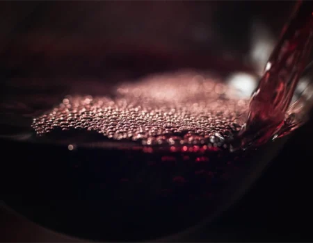 artica+i - Casos de éxito. Imagen 013 para la galería del proyecto "UHPH4WINE. Proyecto de desarrollo experimental para validar la tecnología de Ultra Alta Presión de homogeneización en la elaboración de vinos de alto valor añadido" mostrando una foto artística de una copa de vino en primer plano