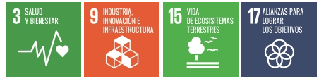 artica+i, Casos de Éxito: 